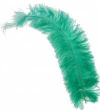 PLUMA SOMBRERO